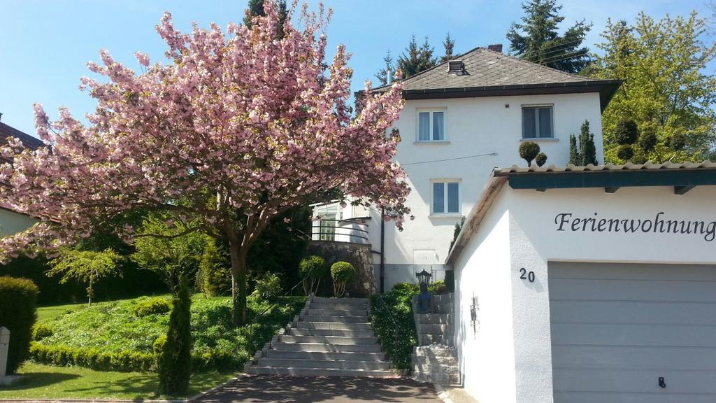 Burgauer Hof Apartment Cameră foto